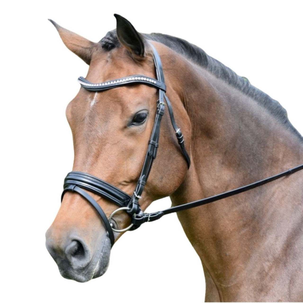 KL Italia Prix Snaffle Bridle