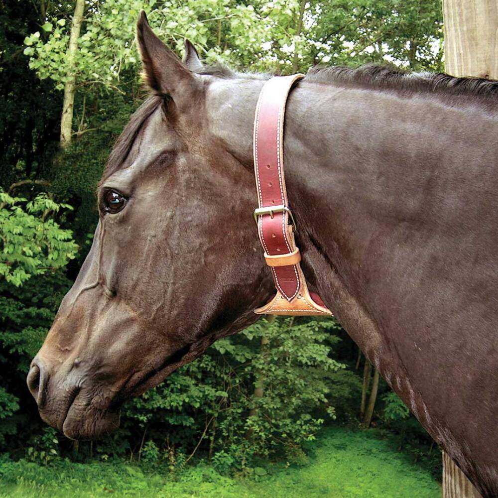 DARE Cribbing Control Collar - Equine Exchange Tack Shop