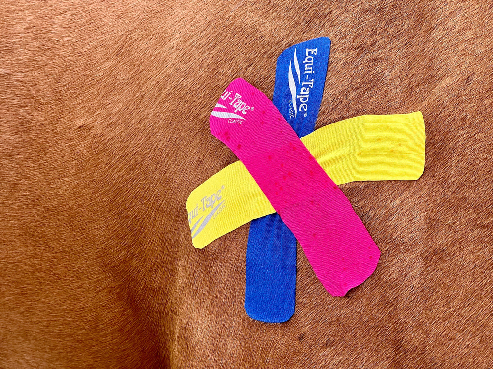 Equi-Tape® Fundamentals Course & Module Bundle - Equine Exchange Tack Shop