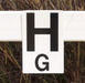 Burlingham Dressage Rail Letters - Set of 12 - Equine Exchange Tack Shop