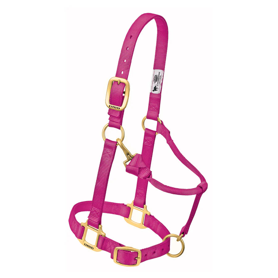 1" Nylon Adjustable Halter