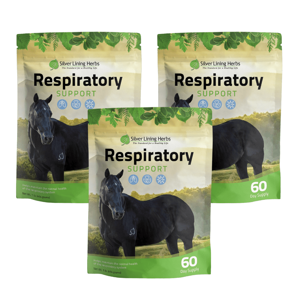 Respiratory Support for Horses - Equine Exchange Tack Shop