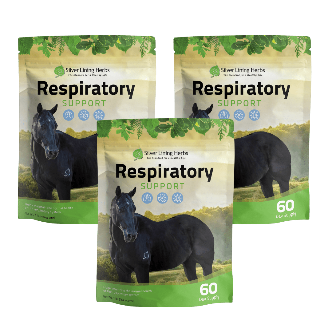 Respiratory Support for Horses - Equine Exchange Tack Shop