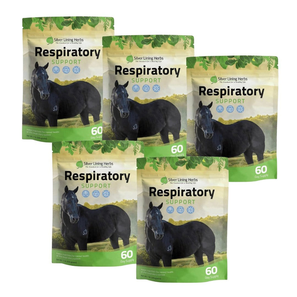 Respiratory Support for Horses - Equine Exchange Tack Shop