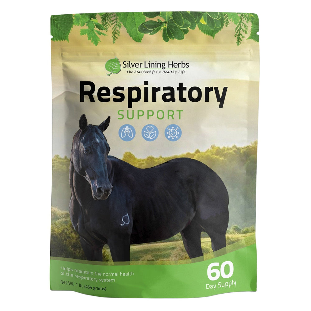 Respiratory Support for Horses - Equine Exchange Tack Shop