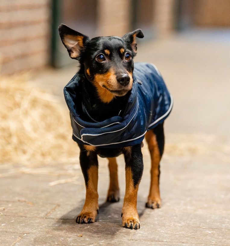 Horseware® Signature Dog Blanket