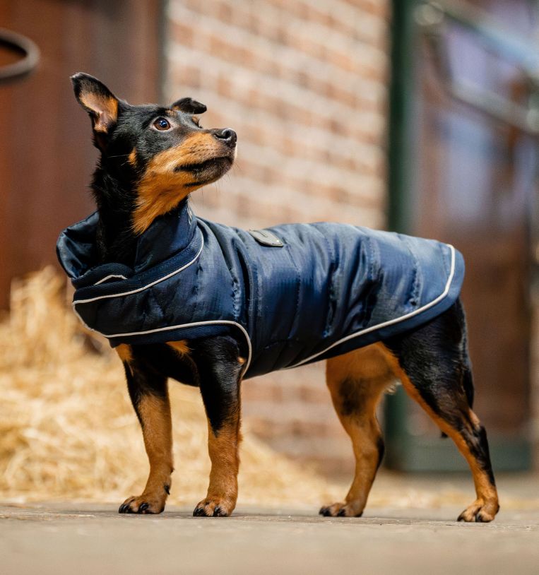 Horseware® Signature Dog Blanket