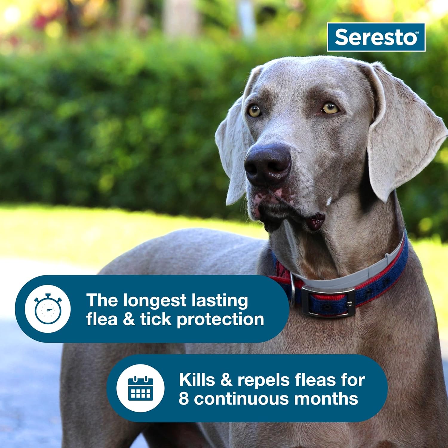 Seresto Flea & Tick Dog Collars  