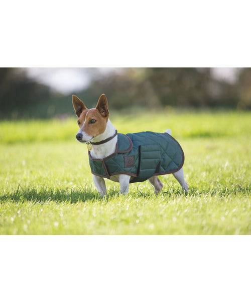 Digby & Fox Quilted Dog Coat - Equine Exchange Tack Shop