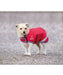 Digby and Fox Waterproof Dog Coat - Equine Exchange Tack Shop