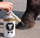 Beechwood Block Premium Equine Brushware - Oil Brush - Equine Exchange Tack Shop