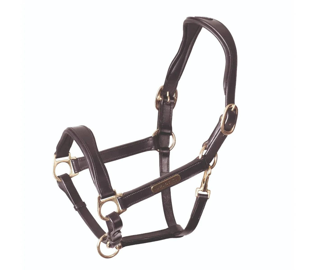 Velociti Rapida Cushioned Leather Halter - Equine Exchange Tack Shop
