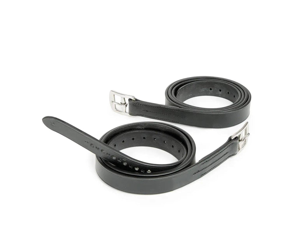 Aviemore Curved Buckle Stirrup Leathers - pr - Equine Exchange Tack Shop