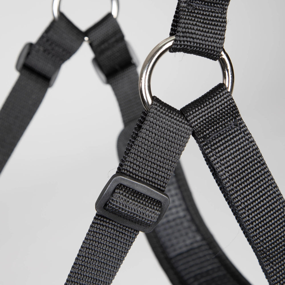 Comfort Grazing Muzzle w/Fleece - Equine Exchange Tack Shop