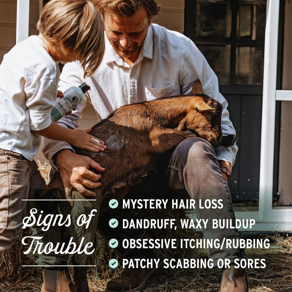 Show Off Farm Lotion - Equine Exchange Tack Shop