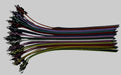 bundle of spur straps
