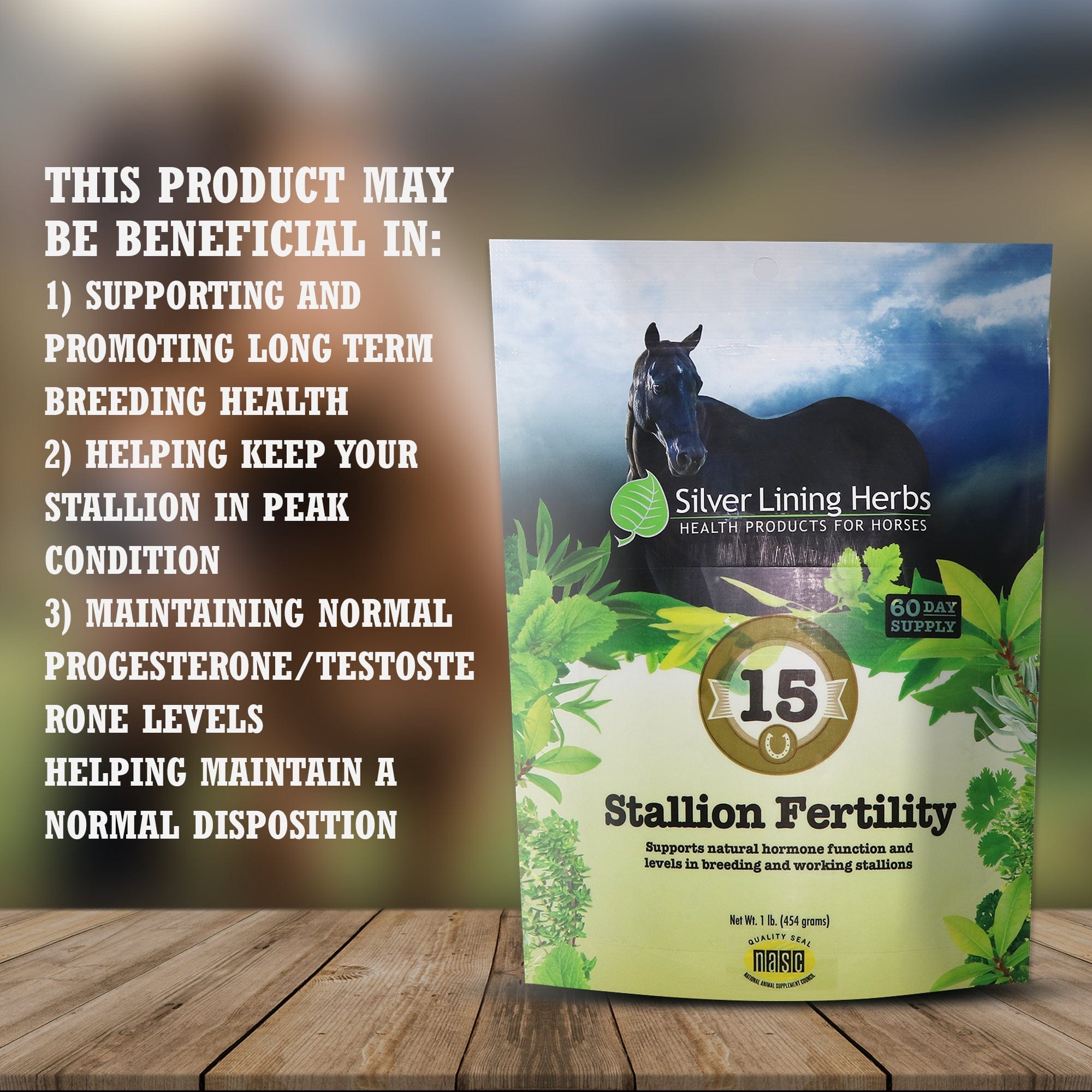 Stallion Fertility For Horses - Equine Exchange Tack Shop