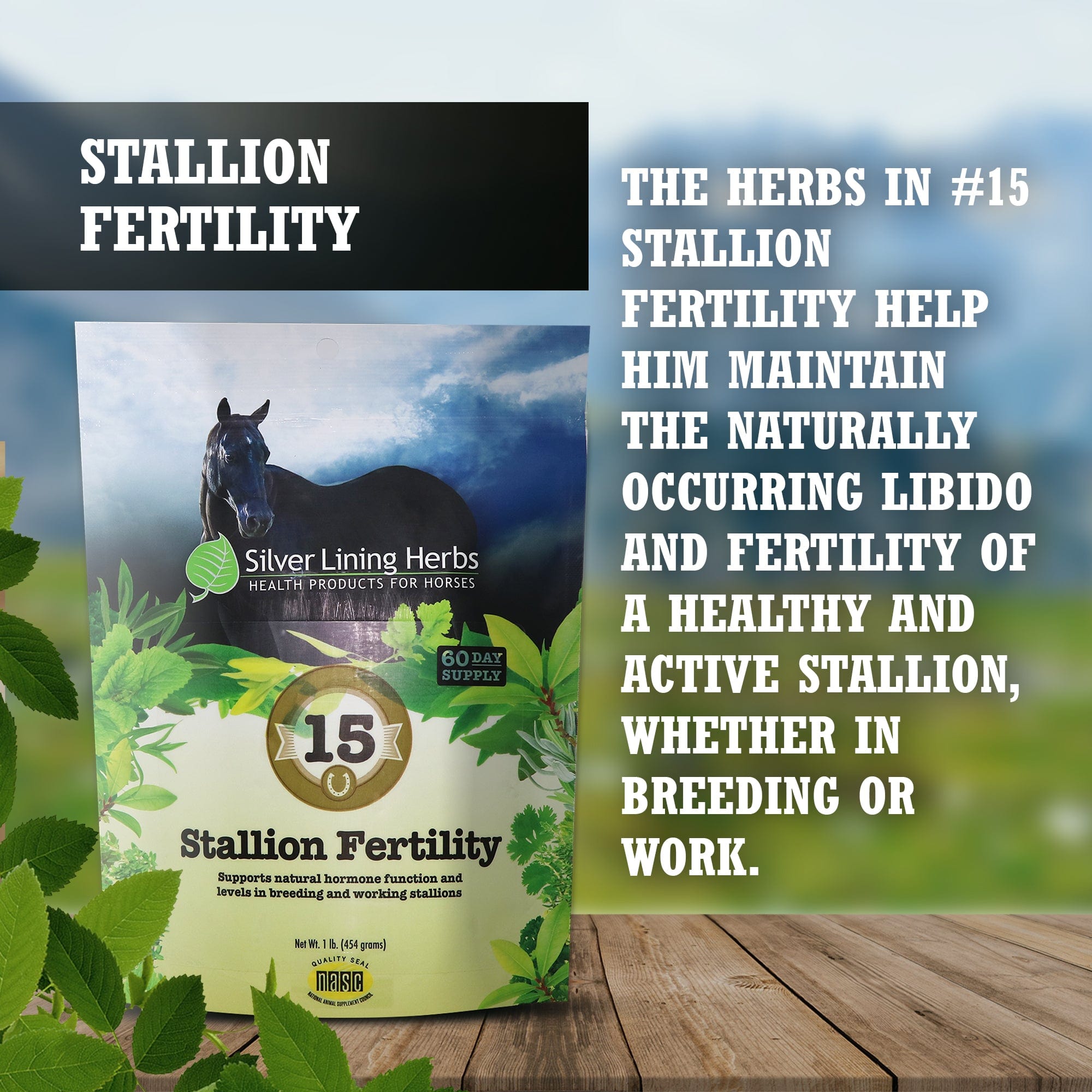 Stallion Fertility For Horses - Equine Exchange Tack Shop