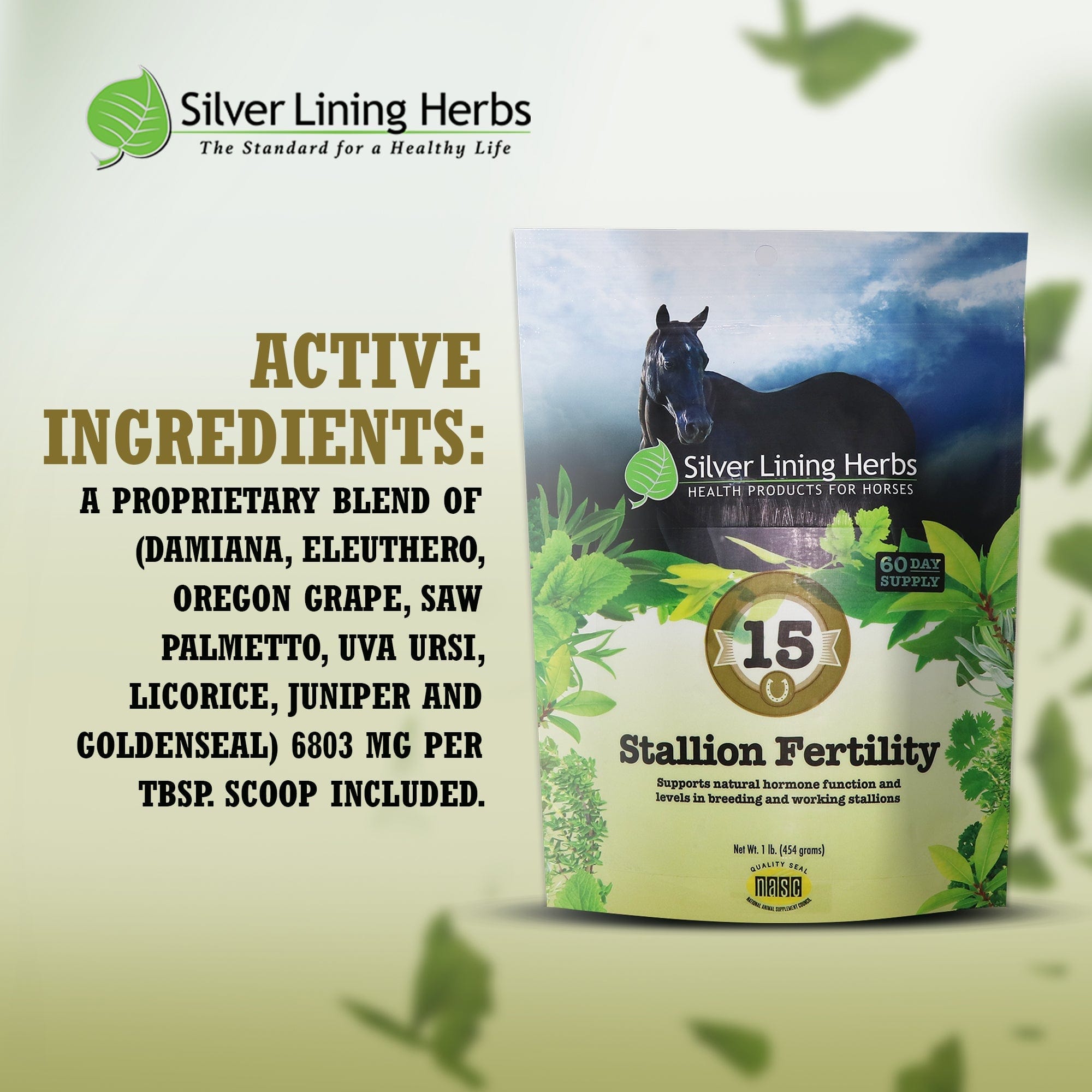 Stallion Fertility For Horses - Equine Exchange Tack Shop