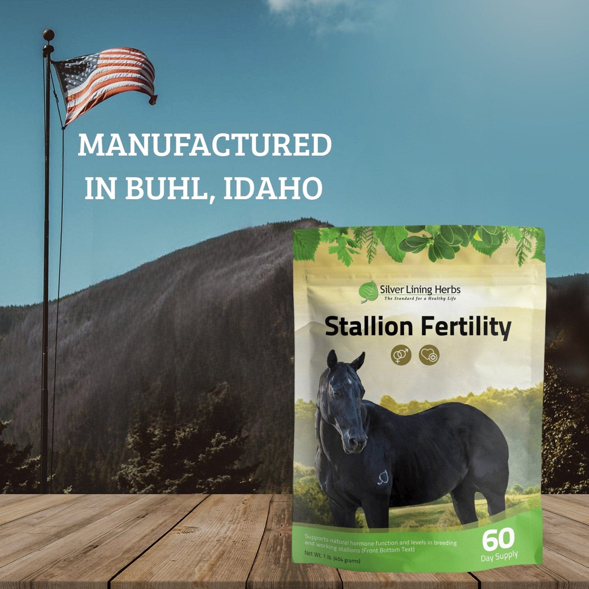 Stallion Fertility For Horses - Equine Exchange Tack Shop
