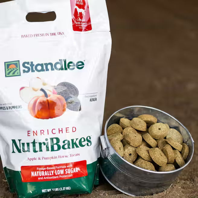 Apple & Pumpkin NutriBakes Horse Treats