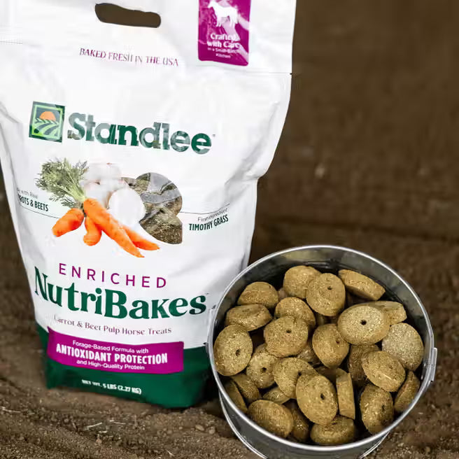 Carrot & Beet Pulp NutriBakes Horse Treats