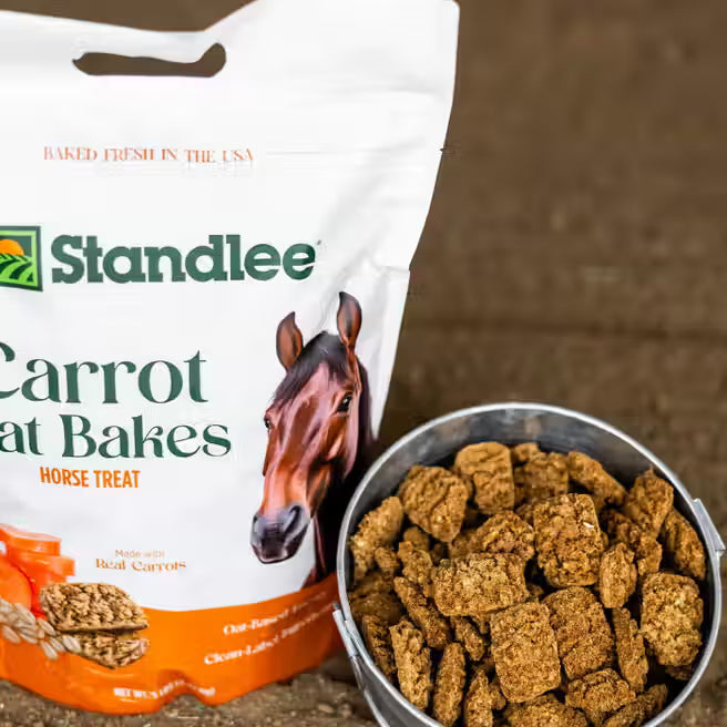 Carrot Oat Bakes Horse Treats