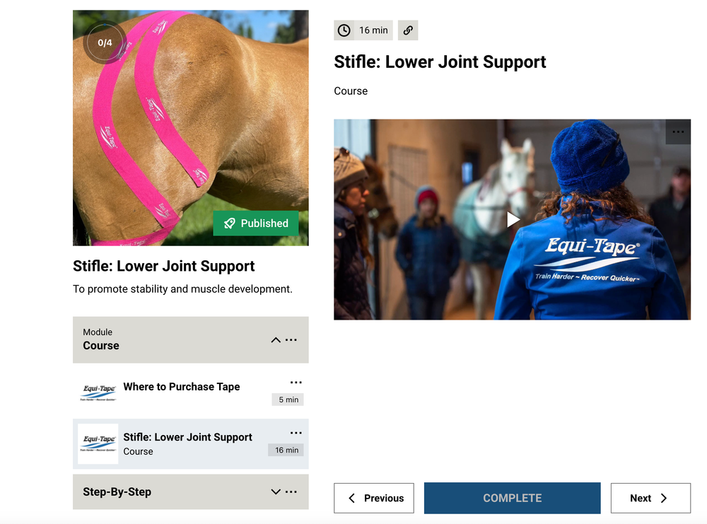 Module: The Stifle - Equine Exchange Tack Shop