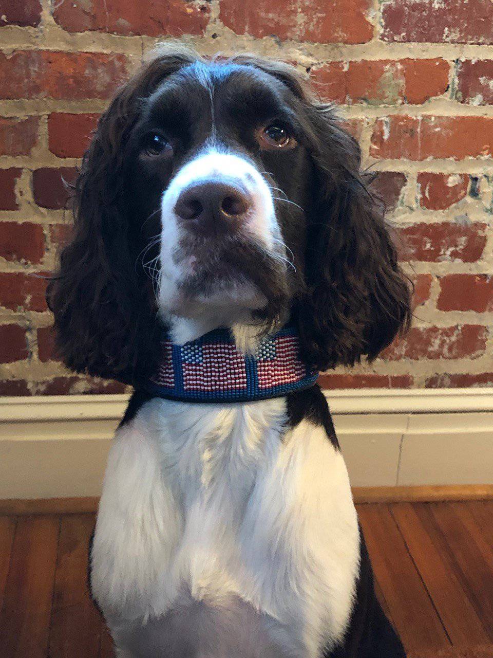 American Flag Beaded Dog Collar - Equine Exchange Tack Shop