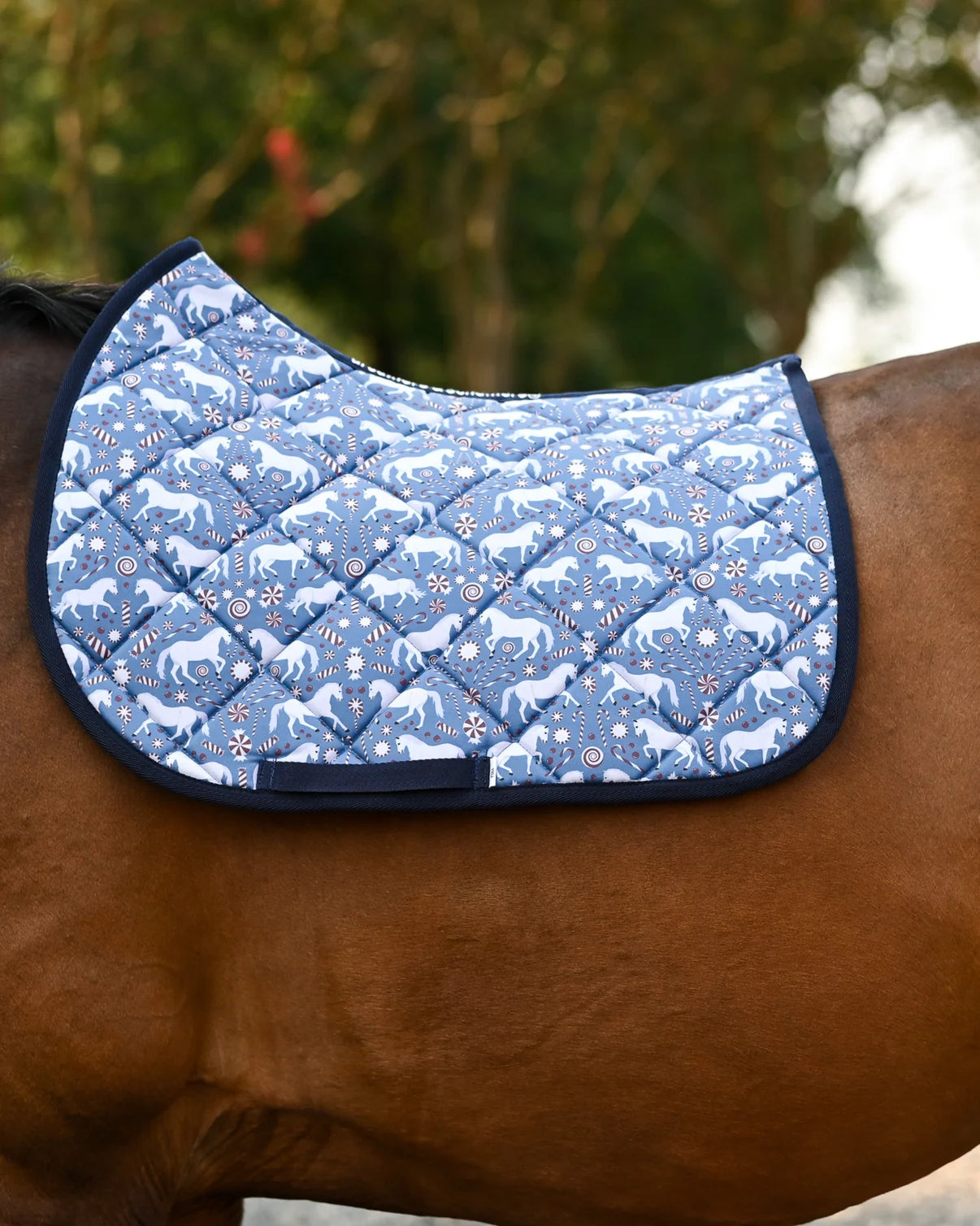 Dreamers & Schemers Saddle Pad