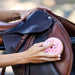 Half Dozen Donut Tack Sponges - Equine Exchange Tack Shop