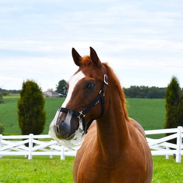 Thinline Flexible Filly Slow Feed Grazing Muzzle - Equine Exchange Tack Shop
