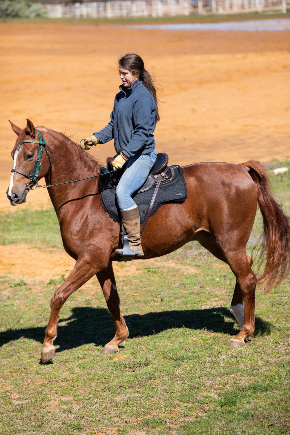 ThinLine Endurance Drop Rigging Saddle Pad - Equine Exchange Tack Shop