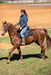 ThinLine Endurance Drop Rigging Saddle Pad - Equine Exchange Tack Shop