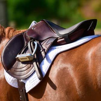 Seat Maker For English Riders - Equine Exchange Tack Shop