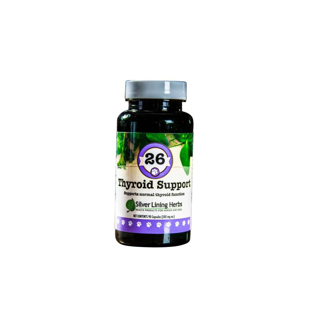 Thyroid Support for Canines - Equine Exchange Tack Shop