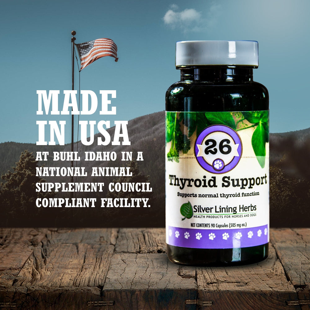 Thyroid Support for Canines - Equine Exchange Tack Shop