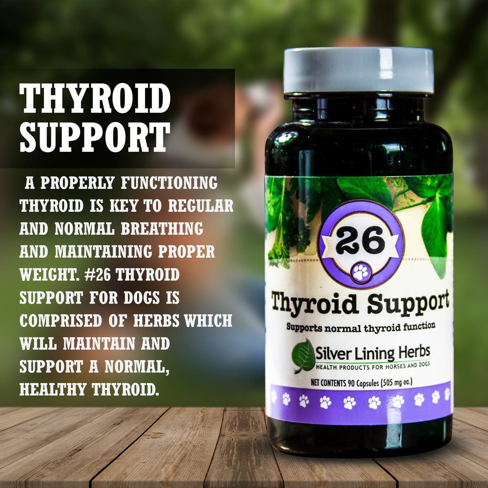 Thyroid Support for Canines - Equine Exchange Tack Shop