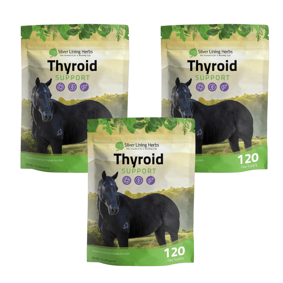 Thyroid Support for Horses - Equine Exchange Tack Shop