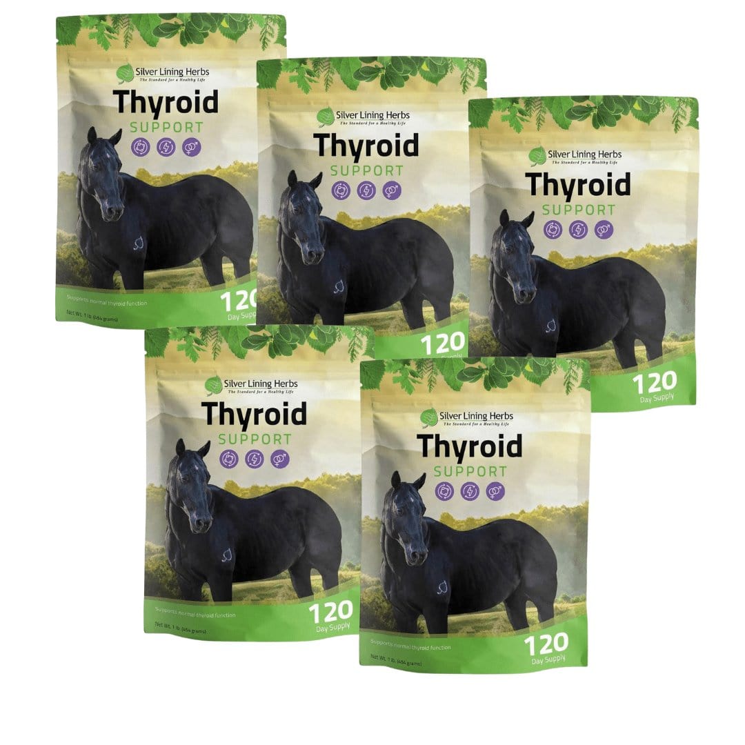 Thyroid Support for Horses - Equine Exchange Tack Shop