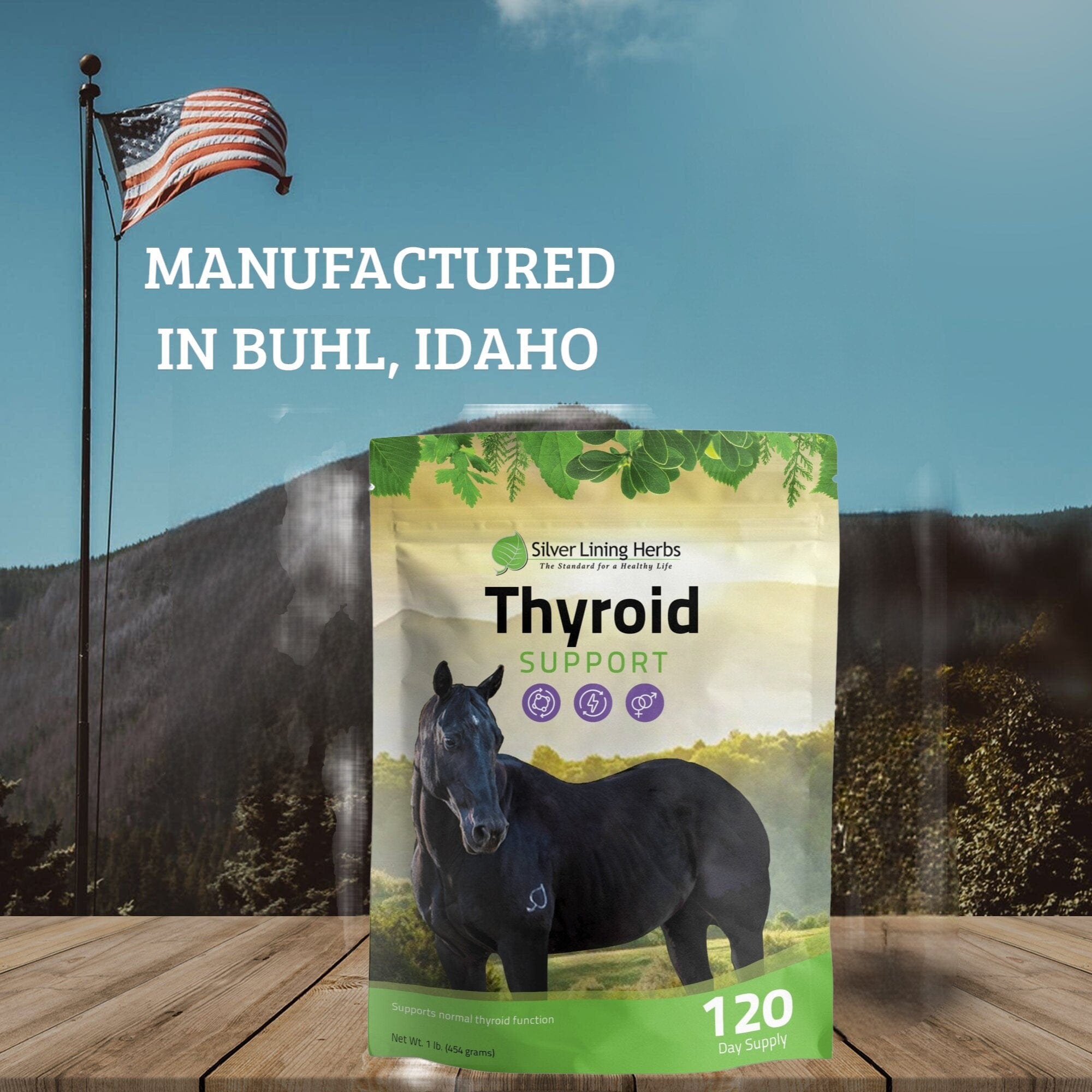 Thyroid Support for Horses - Equine Exchange Tack Shop