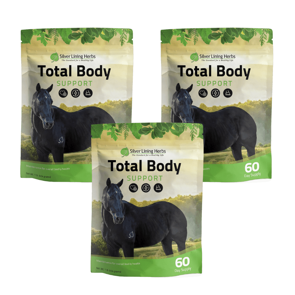 Total Body Support for Horses - Equine Exchange Tack Shop