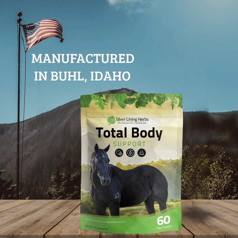 Total Body Support for Horses - Equine Exchange Tack Shop