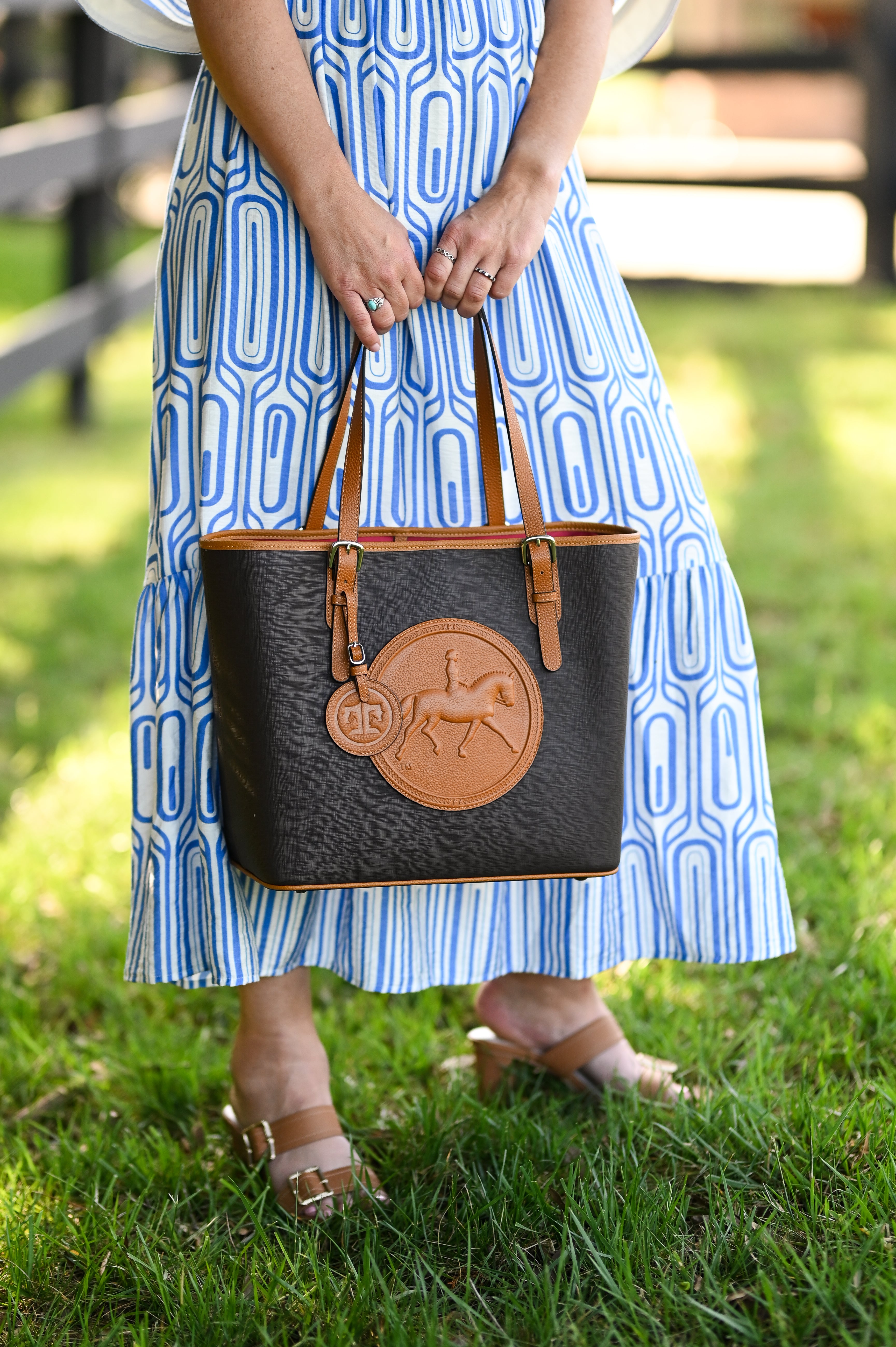 The James River Carry All: Dressage  