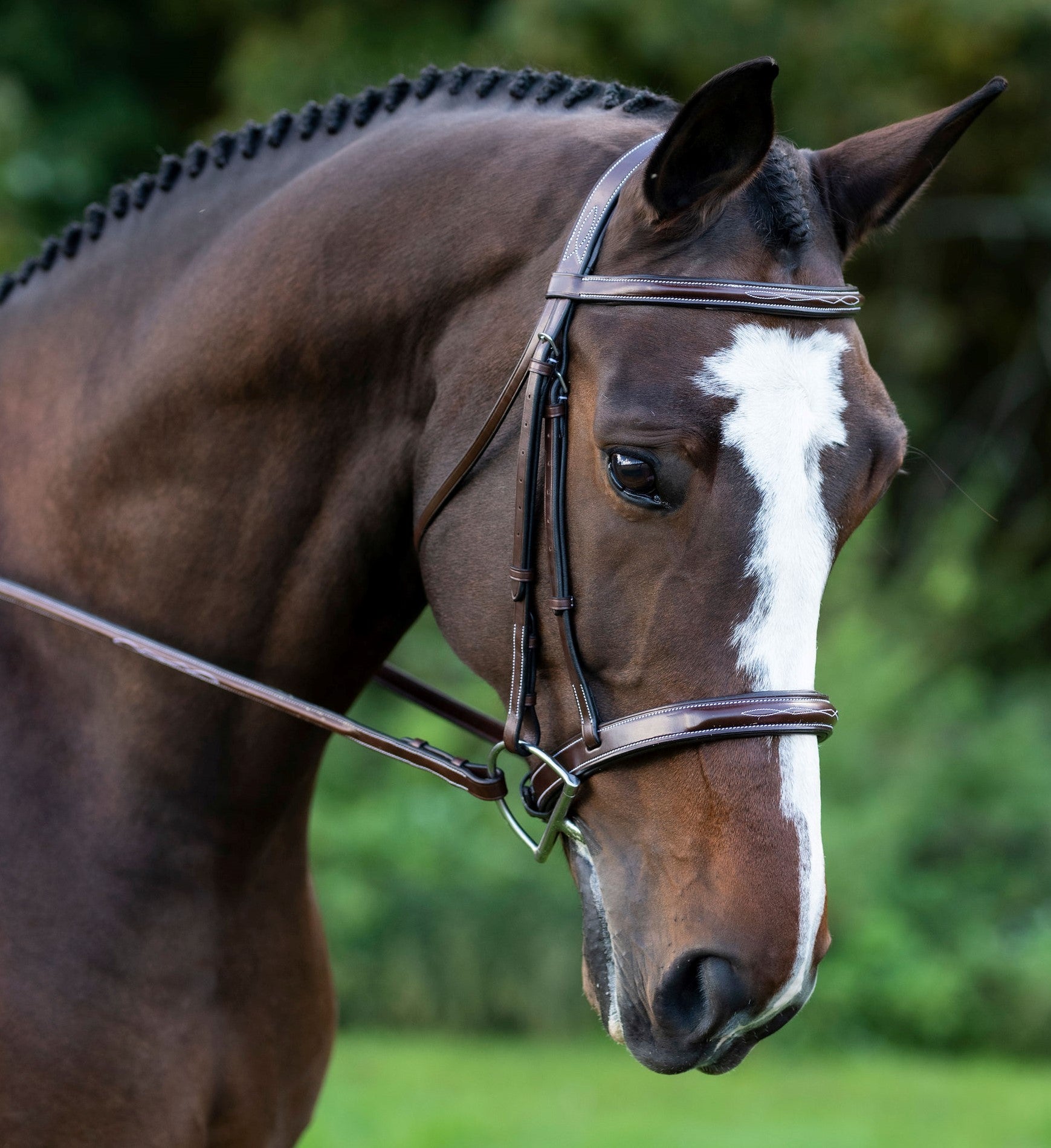 KL Italia Tuscany Bridle - Equine Exchange Tack Shop