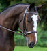 KL Italia Tuscany Bridle - Equine Exchange Tack Shop