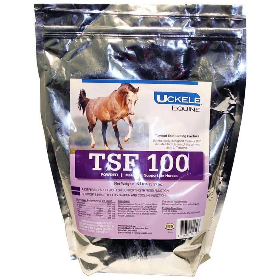 Tsf 100 Metabolic Support - Equine Exchange Tack Shop