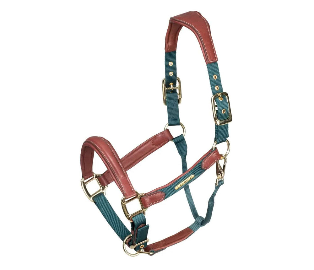 Shires Velociti Lusso Padded Leather Breakaway Halter - Equine Exchange Tack Shop