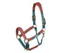 Shires Velociti Lusso Padded Leather Breakaway Halter - Equine Exchange Tack Shop