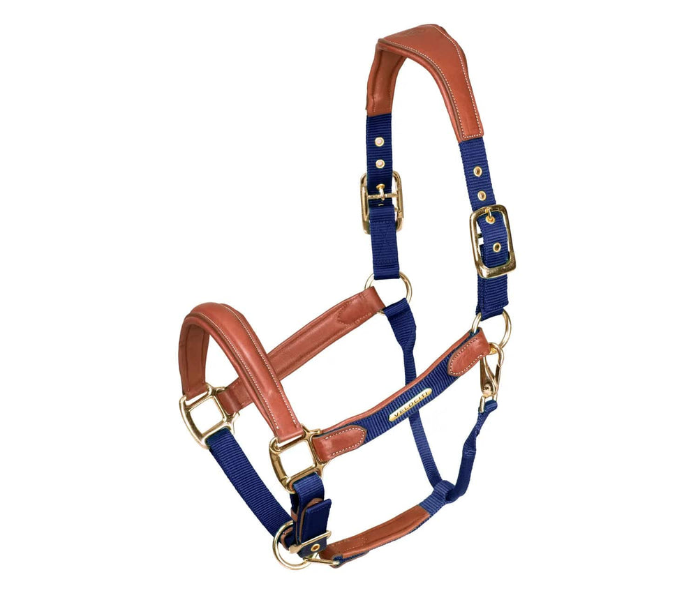 Shires Velociti Lusso Padded Leather Breakaway Halter - Equine Exchange Tack Shop